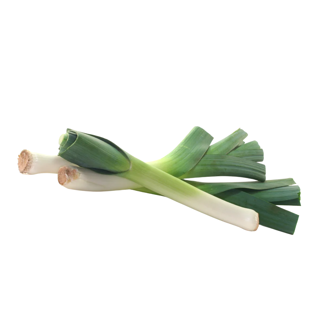 Лук порей