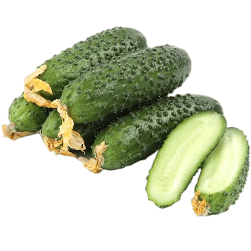 Огурцы короткоплодные "Кураж"