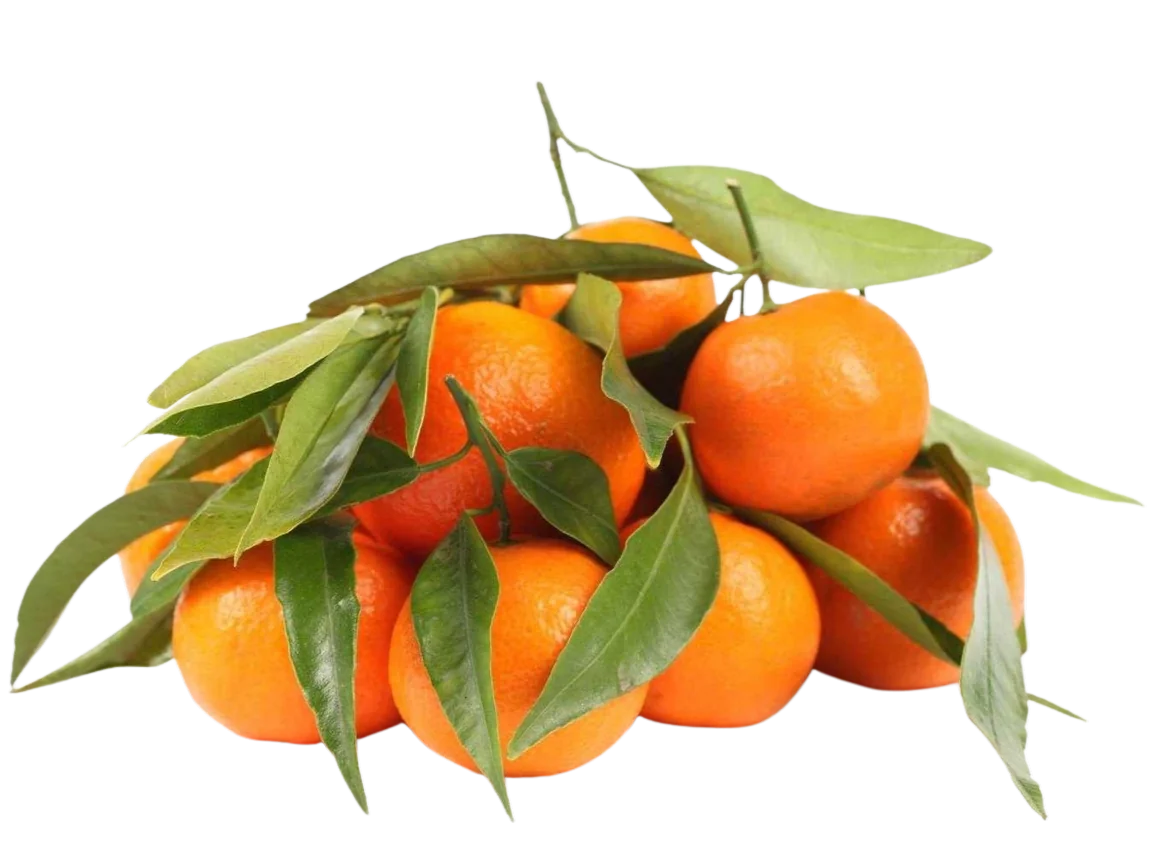 Мандарины с листочками