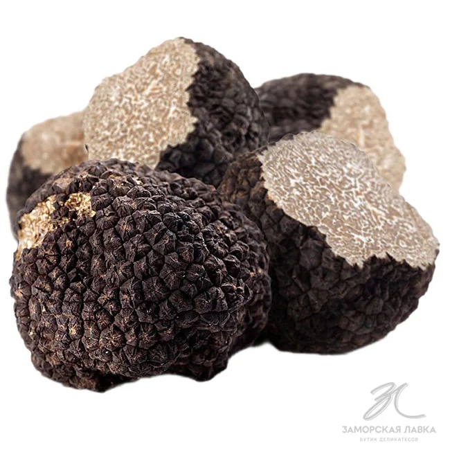 Трюфель черный свежий летний (Tuber Aestivum)