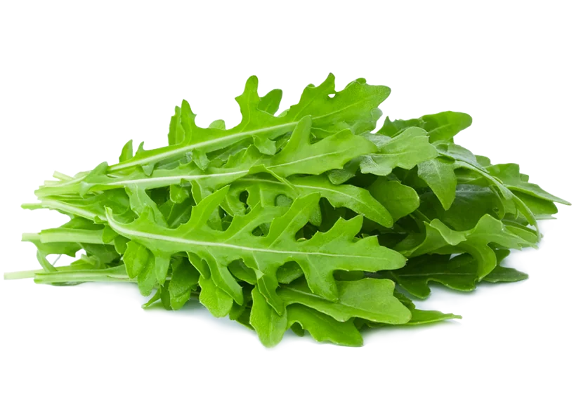 Салат "Руккола" шт