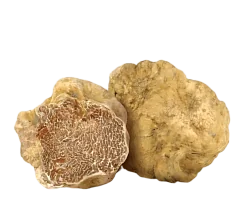 Трюфель белый свежий Магнатум (Tuber Magnatum Pico)