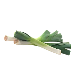 Лук порей