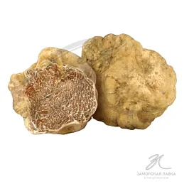 Трюфель белый свежий Магнатум (Tuber Magnatum Pico) 