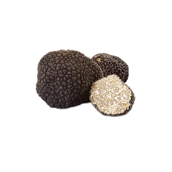 Трюфель черный свежий осенний (Tuber Uncinatum)