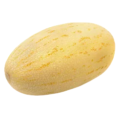 Дыня Узбекская