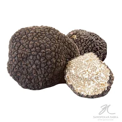 Трюфель черный свежий осенний (Tuber Uncinatum)
