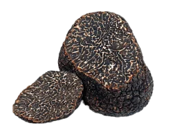 Трюфель черный свежий (Tuber Melanosporum)