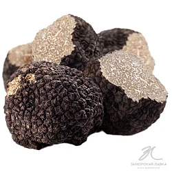 Трюфель черный свежий летний (Tuber Aestivum)