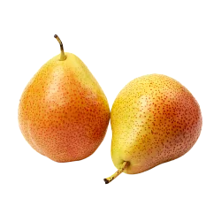 Груша Форел