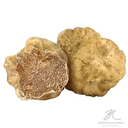 Трюфель белый свежий Магнатум (Tuber Magnatum Pico) отборный