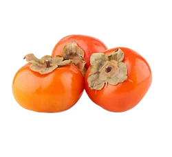 Хурма 